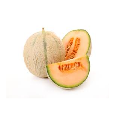 MuskMelon