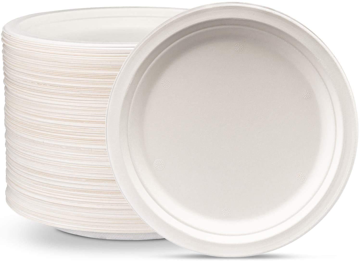 Disposable Plate Biodegradable Plain 9 Inch