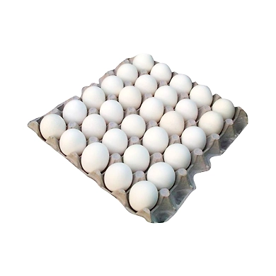Triveni Groceries White Eggs