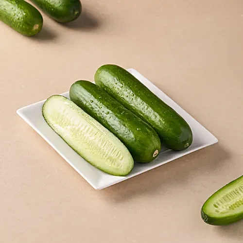 Cucumber Hybrid