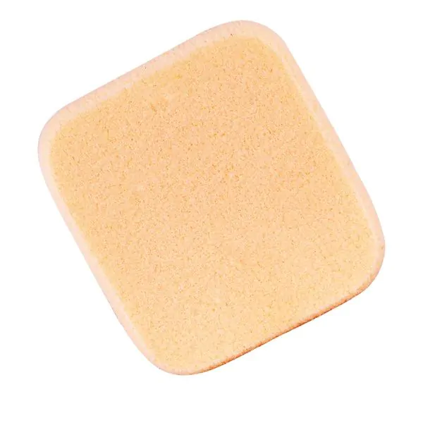 Vega Make Up Sponge NBRS